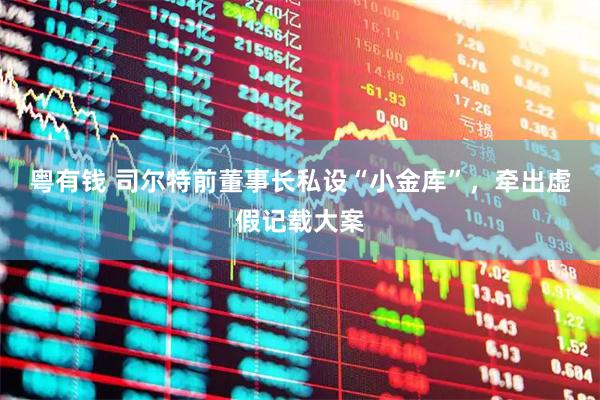 粤有钱 司尔特前董事长私设“小金库”,牵出虚假记载大案